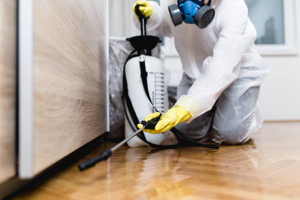 Best Flea Control Services  in Center Point, NM