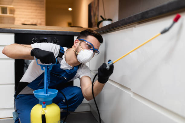 Best Rat Extermination Near Me  in Center Point, NM