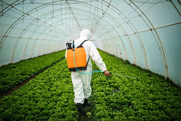 Best Pest Removal Services  in Center Point, NM