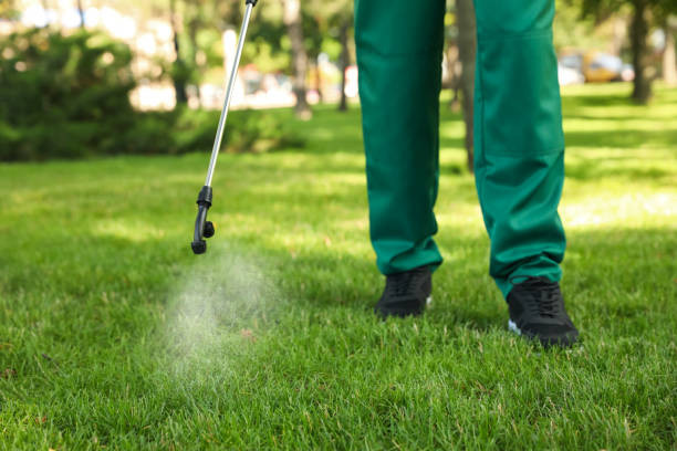 Best Commercial Pest Control Services  in Center Point, NM