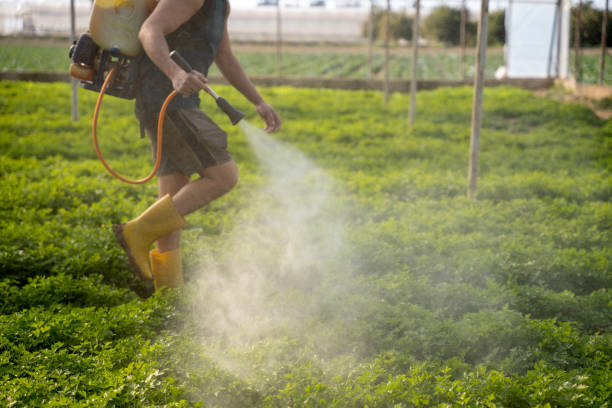 Best Pest Prevention Services  in Center Point, NM