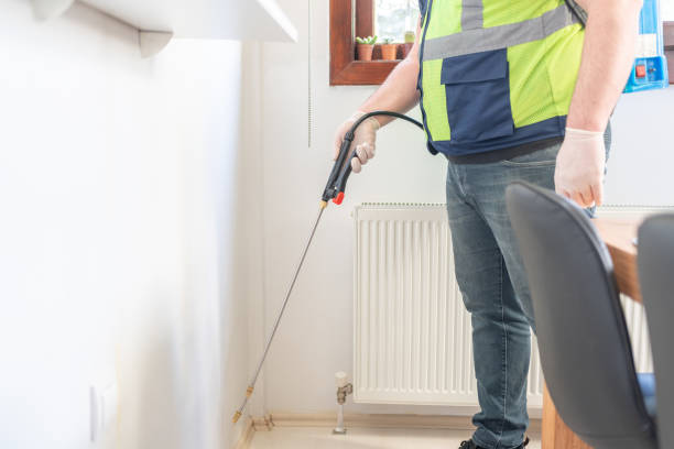 Best Wasp Removal Services  in Center Point, NM