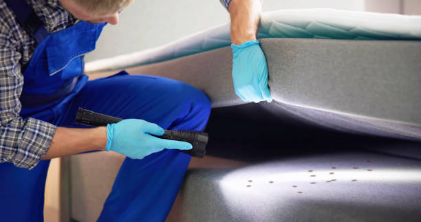Best Pest Inspection Near Me  in Center Point, NM