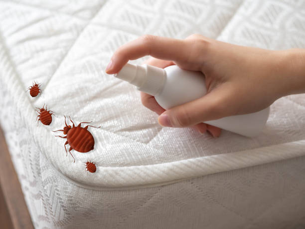 Best Exterminator Services  in Center Point, NM
