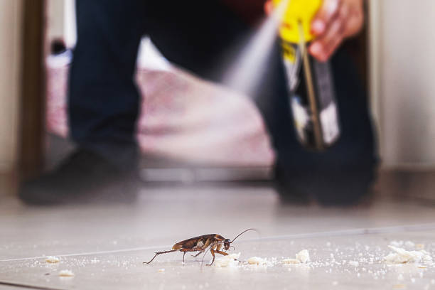 Best Pest Control for Homes  in Center Point, NM