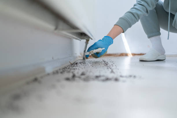 Best Flea Control Services  in Center Point, NM